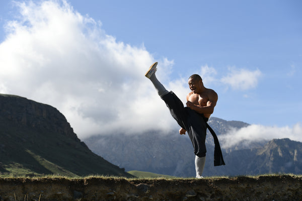 Shaolin Heroes Kung Fu Workout