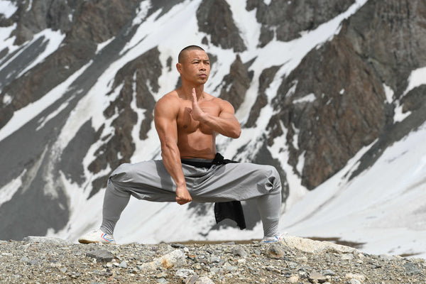 Shaolin Heroes Kung Fu Workout