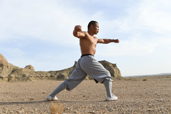 Longevity Qigong and Shaolin Kung Fu for Health - Level 1 - Exam