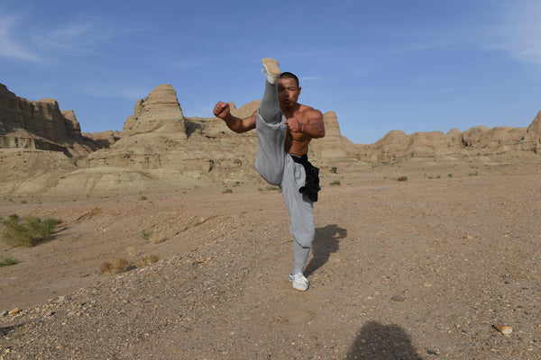 Longevity Qigong and Shaolin Kung Fu for Health - Level 1 - Exam