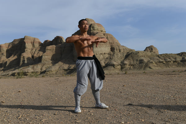 Transformation Warrior - Live Zoom Masterclass