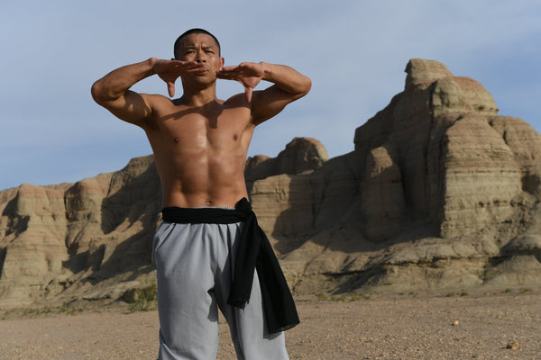 Longevity Qigong and Shaolin Kung Fu for Health - Level 1 - Exam