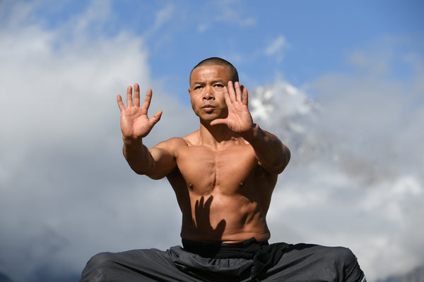 Transformation Warrior - Live Zoom Masterclass