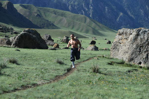 Longevity Qigong and Shaolin Kung Fu for Health - Level 1 - Exam