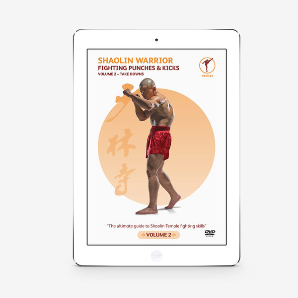 Fighting Punches And Kicks Vol. 2 (Download) - shifuyanlei.myshopify.com