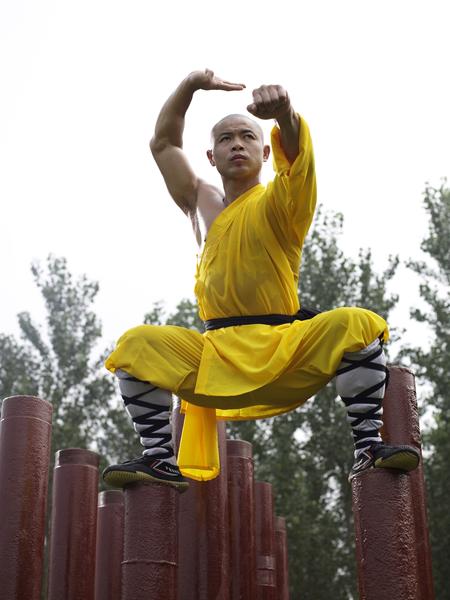 Online Training Course – Novice Shaolin Monk 20 Day Workout - shifuyanlei.myshopify.com