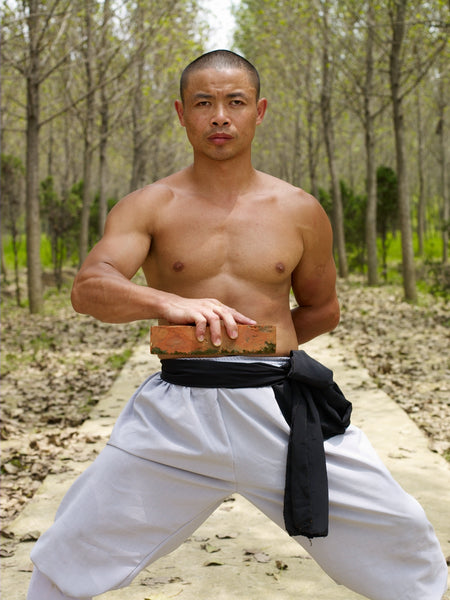Online Training Course - Iron Shirt - Shaolin Steel Jacket - shifuyanlei.myshopify.com