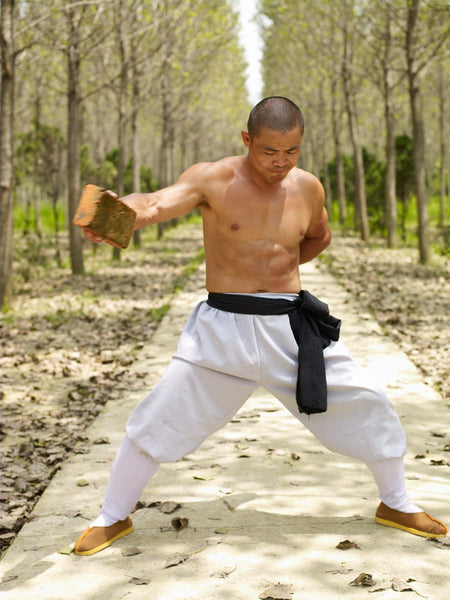 Online Training Course - Iron Shirt - Shaolin Steel Jacket - shifuyanlei.myshopify.com