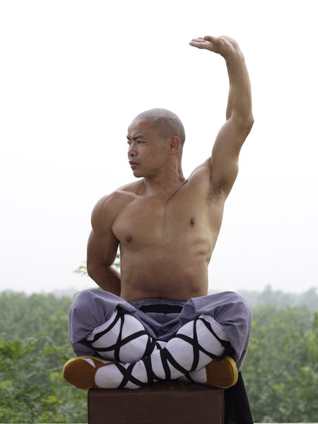 Online Training Course – Xi Sui Jing (Bone Marrow Cleansing) Qigong - shifuyanlei.myshopify.com