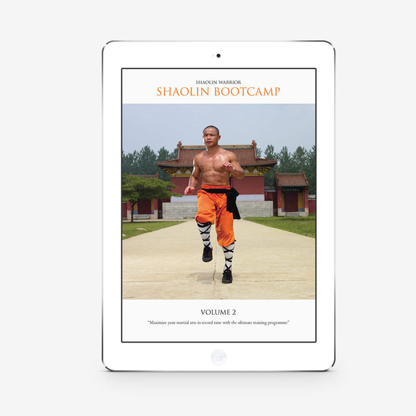 Shaolin Bootcamp Vol. 2 (Download) - shifuyanlei.myshopify.com