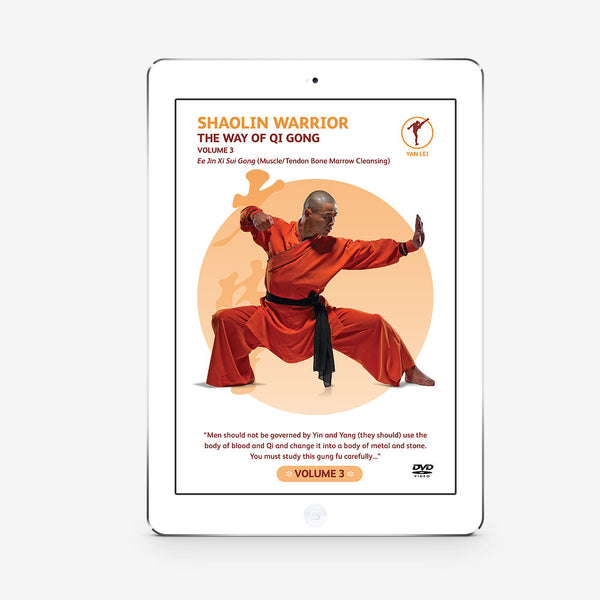 The Way Of Qigong Vol. 3 (Download) - shifuyanlei.myshopify.com