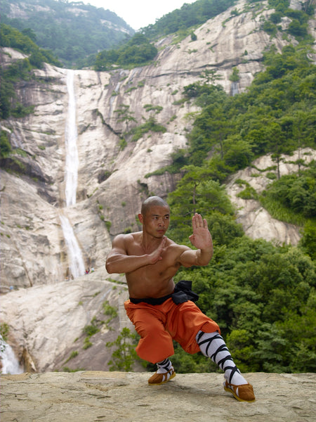 Longevity Qigong