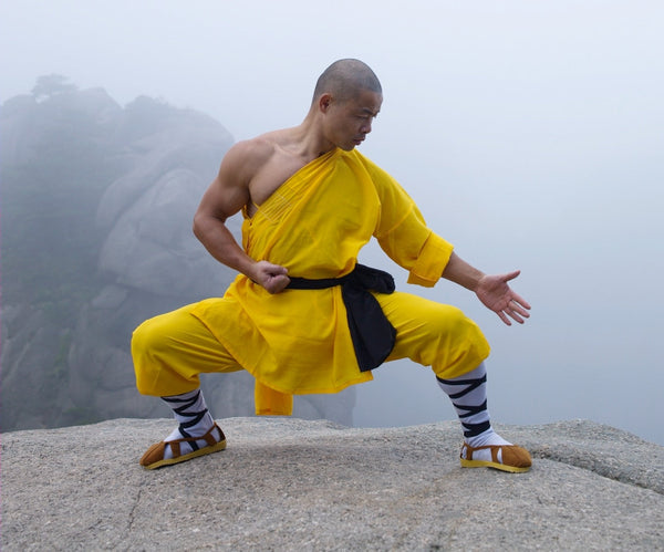 Longevity Qigong and Shaolin Kung Fu for Health - Level 1 - Exam