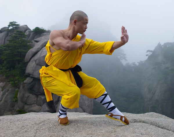 Longevity Qigong and Shaolin Kung Fu for Health - Level 1 - Exam