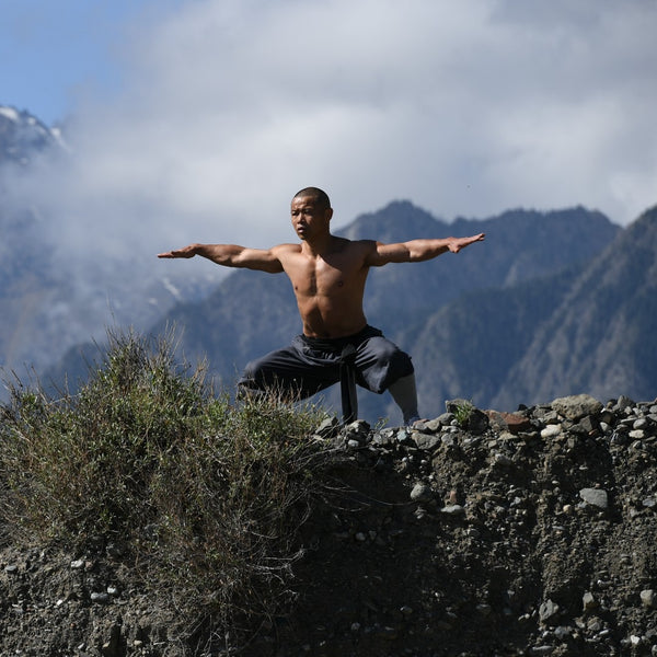 Yi Jin Jing ( Muscle Tendon Changing) Qigong & Ultimate Flexibility ...