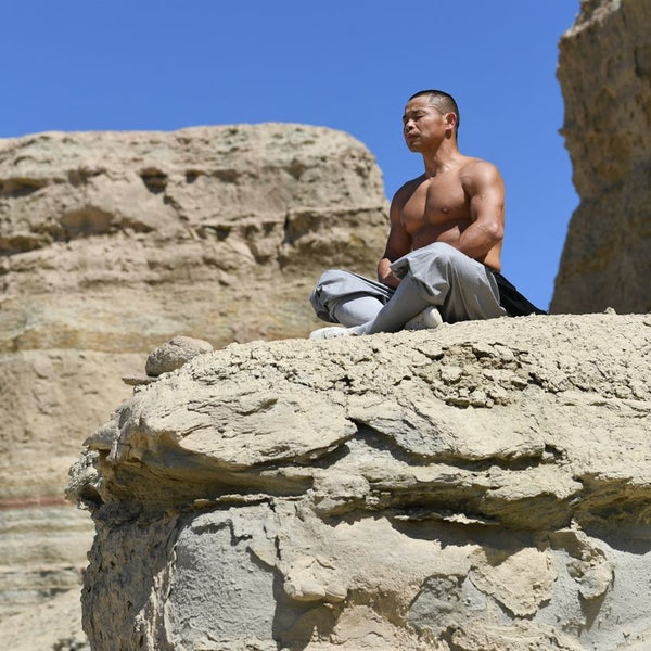 Xi Sui Jing (Bone Marrow Cleansing) Qigong  & Fighting Punches & Kicks  -  LIVE Masterclass