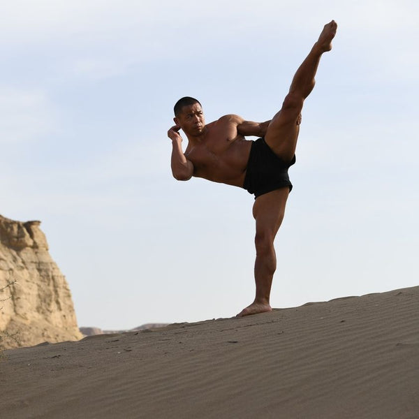 Xi Sui Jing (Bone Marrow Cleansing) Qigong  & Fighting Punches & Kicks  -  LIVE Masterclass