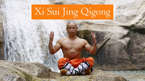 Xi Sui Jing (Bone Marrow Cleansing) Qigong