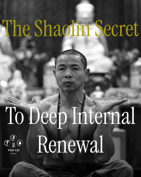 Xi Sui Jing (Bone Marrow Cleansing) Qigong  & Fighting Punches & Kicks  -  LIVE Masterclass