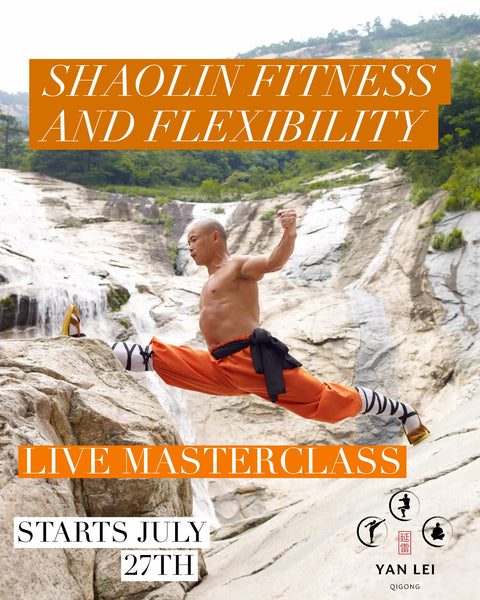 New! Shaolin Fitness and Flexibility - Live Zoom Masterclass