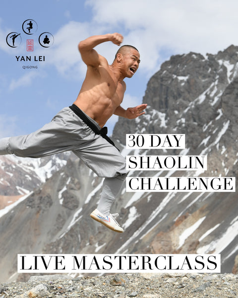 30 Day Shaolin Challenge - Live Zoom Masterclass