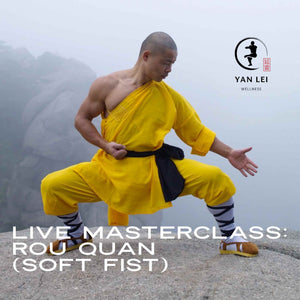 Rou Quan (Soft Fist) - Live Masterclass