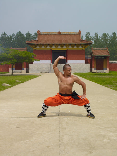 Shaolin Heroes – 20 Day Workout