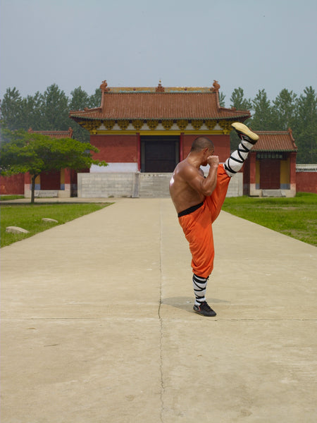 Shaolin Heroes – 20 Day Workout