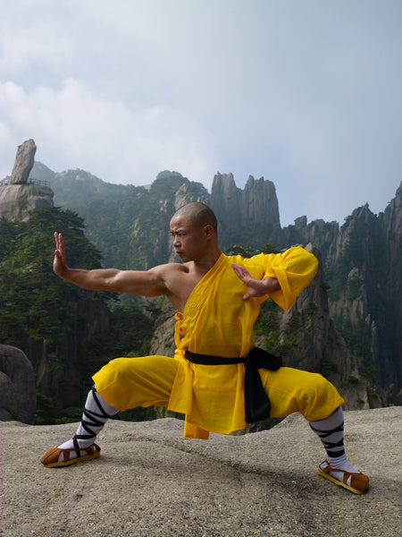 Shaolin Heroes – 20 Day Workout