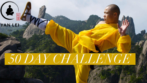 1000 Kicks - 50 Day Challenge