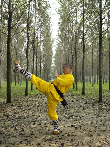 Yi Jin Xi Sui Gong - Muscle/ Tendon Bone Marrow Cleansing