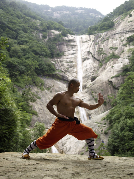 Yi Jin Xi Sui Gong - Muscle/ Tendon Bone Marrow Cleansing