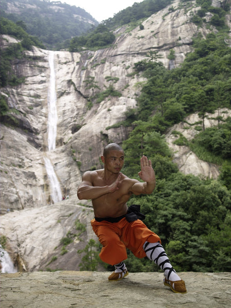 Yi Jin Xi Sui Gong - Muscle/ Tendon Bone Marrow Cleansing