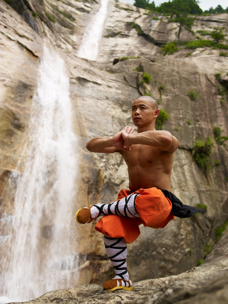 Shaolin Heroes – 20 Day Workout