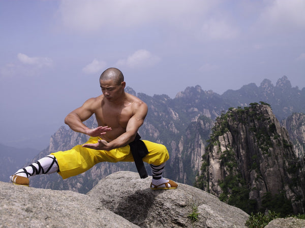 40 Day Shaolin Challenge