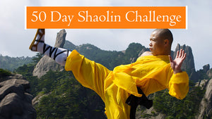 1000 Kicks 50 Day Challenge