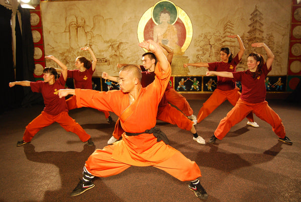 Online Assessment - 8 Treasures Qigong Form - shifuyanlei.myshopify.com