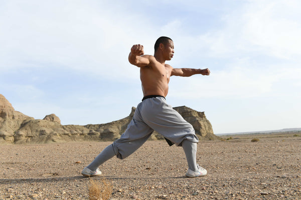 Longevity Qigong and Fitness Instructor Program - Level 1