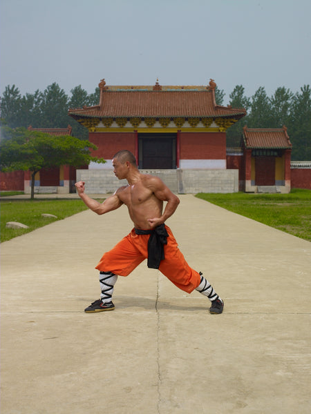 Online Training Course - Fighting Meditation - shifuyanlei.myshopify.com