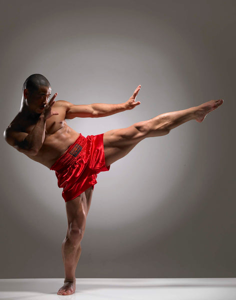 Online Training Course - Fighting Meditation - shifuyanlei.myshopify.com