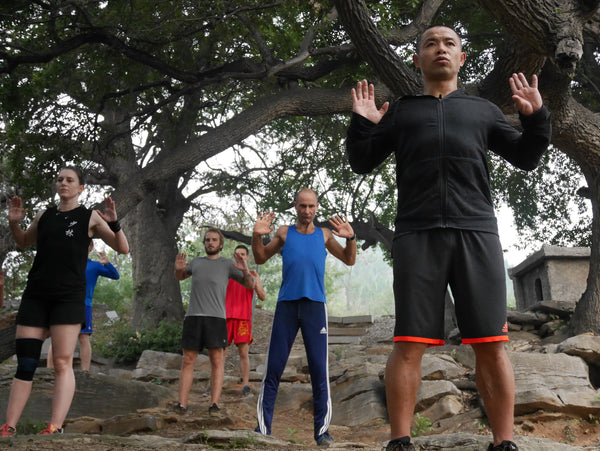 Online Assessment - 8 Treasures Qigong Form - shifuyanlei.myshopify.com