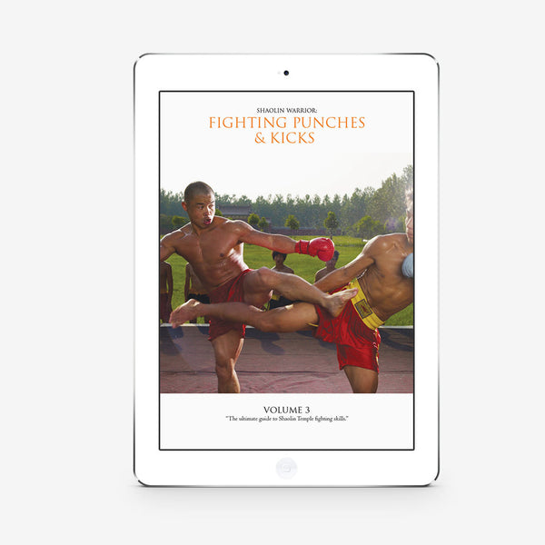 Fighting Punches And Kicks Vol. 3 (Download) - shifuyanlei.myshopify.com