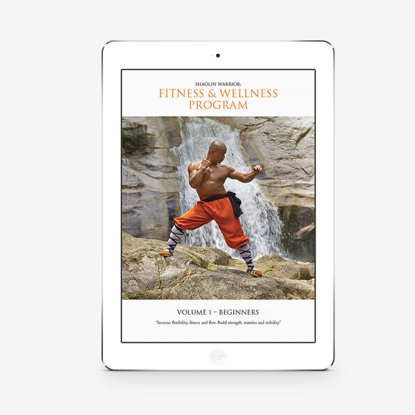 Shaolin Fitness And Wellness Program  - Beginners (Download) - shifuyanlei.myshopify.com