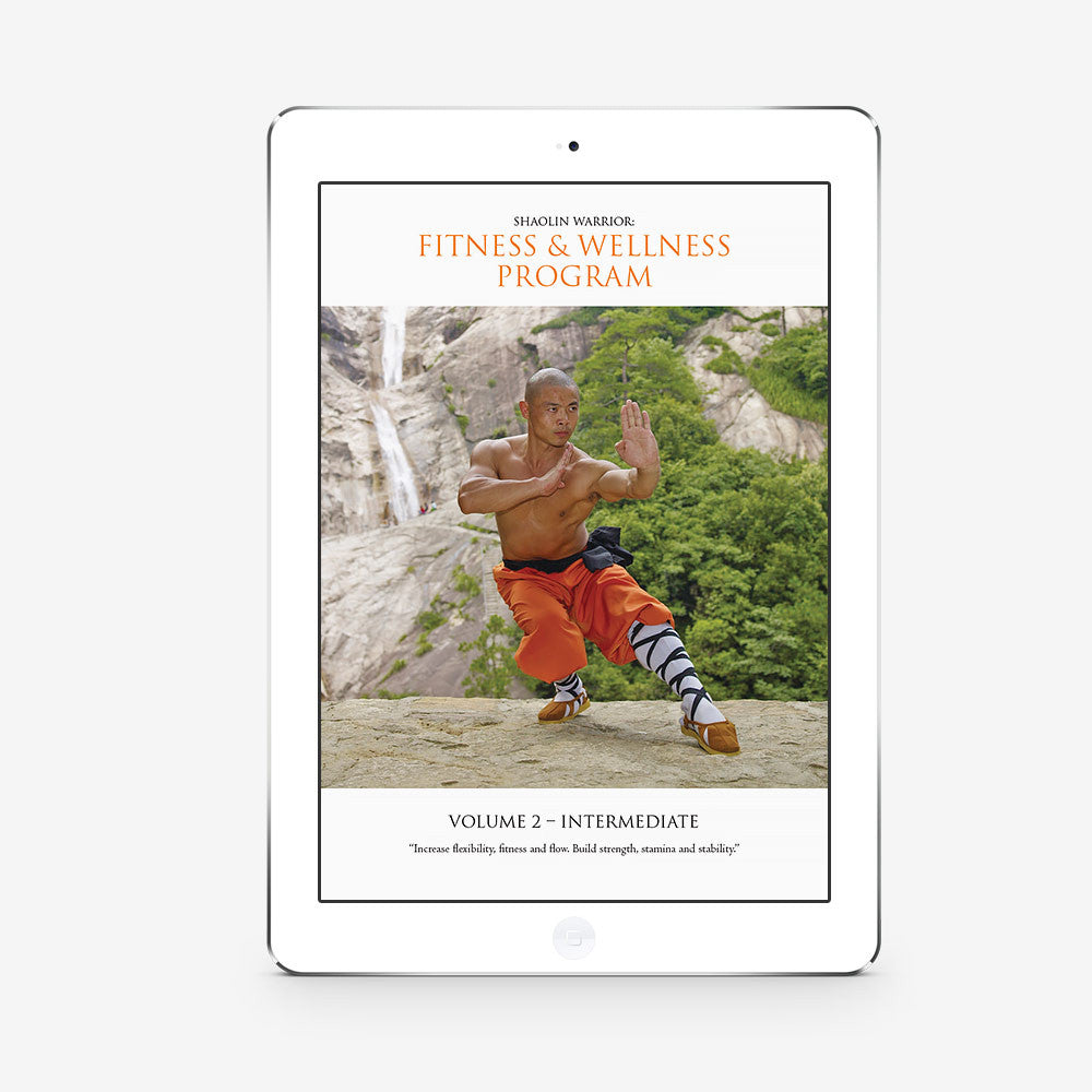 Shaolin Fitness And Wellness Program  - Level 2 (Download) - shifuyanlei.myshopify.com