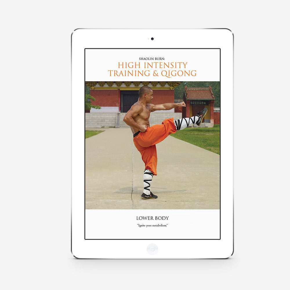 Shaolin Burn: High Intensity Training And Qigong: Lower Body (Download) - shifuyanlei.myshopify.com