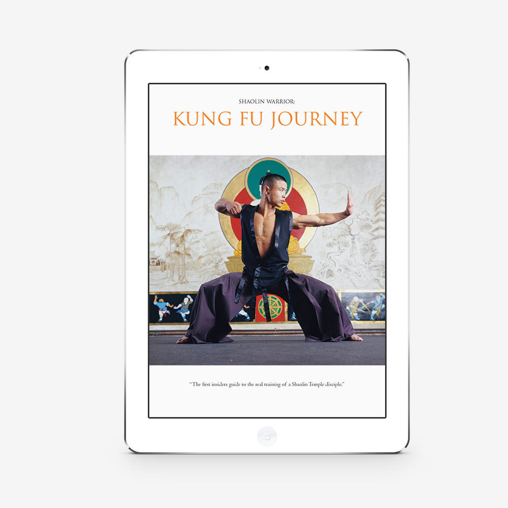 Kung Fu Journey – (Download) - shifuyanlei.myshopify.com