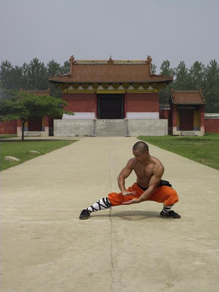Online Training Course – Novice Shaolin Monk 20 Day Workout - shifuyanlei.myshopify.com