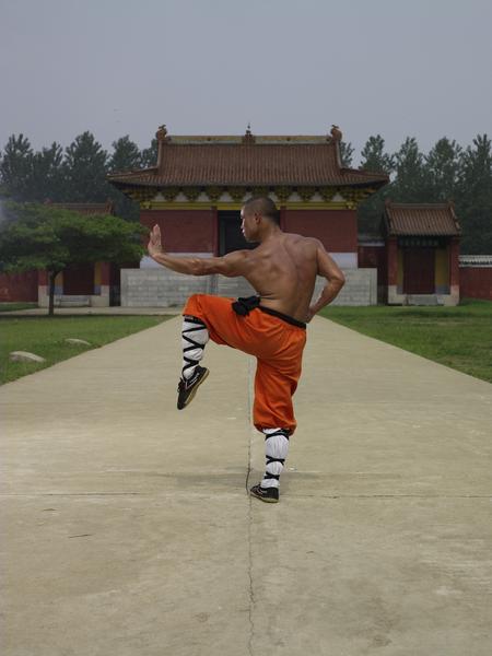 Online Training Course – Novice Shaolin Monk 20 Day Workout - shifuyanlei.myshopify.com