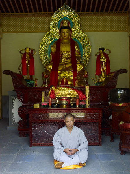 Online Training Course - Fighting Meditation - shifuyanlei.myshopify.com