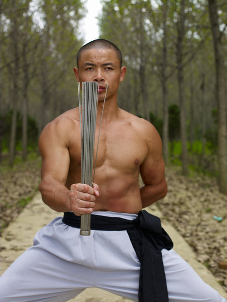 Online Training Course - Iron Shirt - Shaolin Steel Jacket - shifuyanlei.myshopify.com
